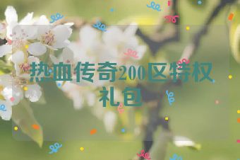 热血传奇200区特权礼包