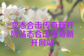 变态合击传奇新开网站态合击传奇新开网站
