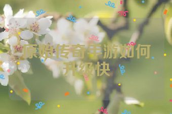 原始传奇手游如何升级快