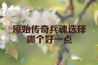 原始传奇兵魂选择哪个好一点