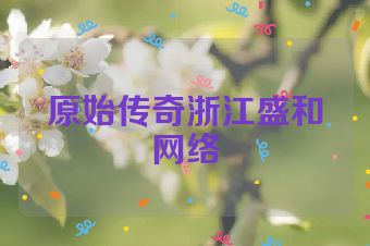 原始传奇浙江盛和网络