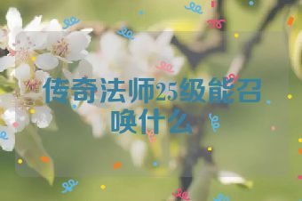 传奇法师25级能召唤什么