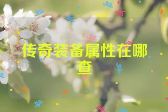 传奇装备属性在哪查