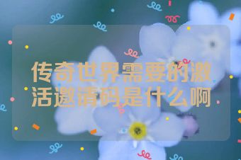 传奇世界需要的激活邀请码是什么啊