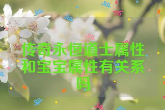 传奇永恒道士属性和宝宝属性有关系吗