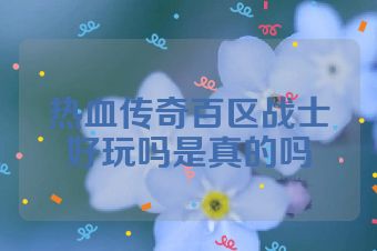热血传奇百区战士好玩吗是真的吗