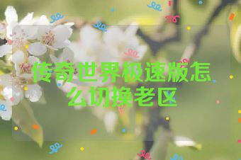传奇世界极速版怎么切换老区