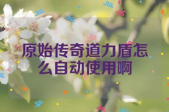 原始传奇道力盾怎么自动使用啊