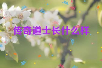 传奇道士长什么样