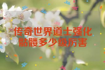传奇世界道士强化骷髅多少级厉害