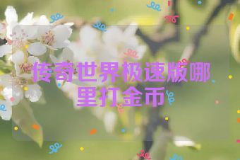 传奇世界极速版哪里打金币