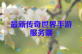 最新传奇世界手游服务端