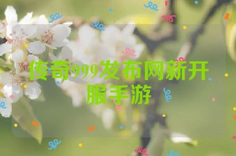 传奇999发布网新开服手游