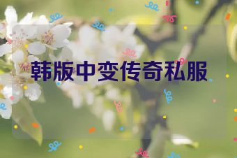 韩版中变传奇私服