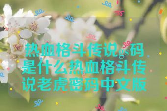 热血格斗传说gs码是什么热血格斗传说老虎密码中文版