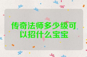 传奇法师多少级可以招什么宝宝