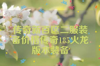 传奇新百区二服装备价格传奇185火龙版本装备