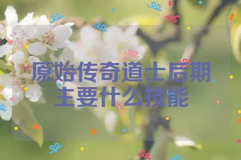 原始传奇道士后期主要什么技能