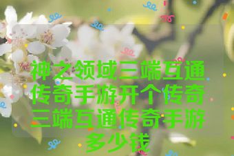 神之领域三端互通传奇手游开个传奇三端互通传奇手游多少钱