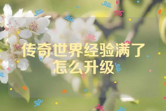 传奇世界经验满了怎么升级