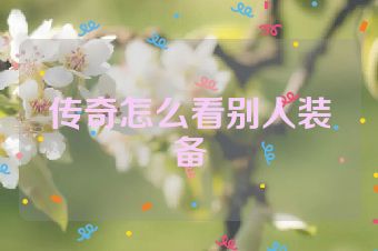 传奇怎么看别人装备