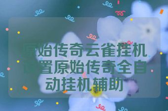 原始传奇云雀挂机设置原始传奇全自动挂机辅助