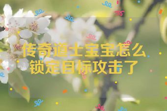 传奇道士宝宝怎么锁定目标攻击了