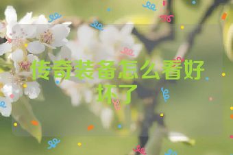 传奇装备怎么看好坏了