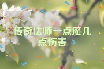 传奇法师一点魔几点伤害