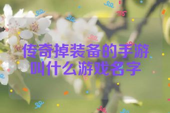 传奇掉装备的手游叫什么游戏名字