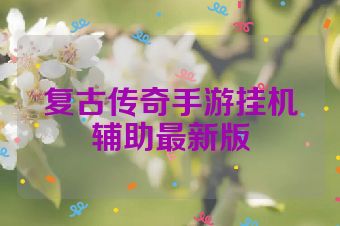 复古传奇手游挂机辅助最新版