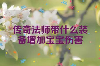 传奇法师带什么装备增加宝宝伤害