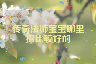 传奇法师宝宝哪里招比较好的