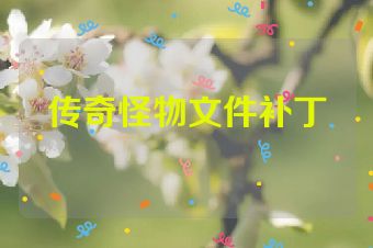 传奇怪物文件补丁