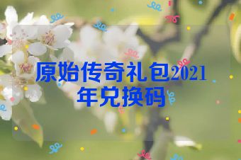 原始传奇礼包2021年兑换码