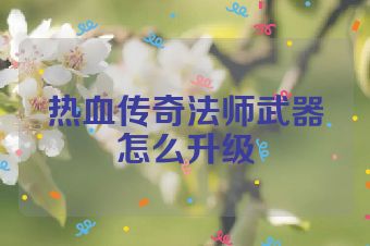 热血传奇法师武器怎么升级