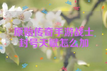 原始传奇手游战士封号天赋怎么加