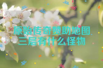 原始传奇赞助地图三层有什么怪物