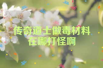 传奇道士做毒材料在哪打怪啊