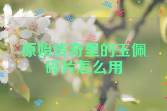 原始传奇里的玉佩碎片怎么用