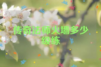 传奇法师火墙多少级练
