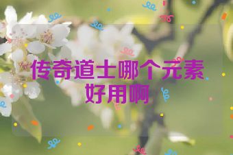 传奇道士哪个元素好用啊