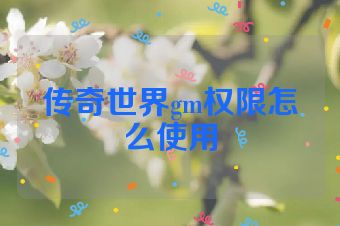 传奇世界gm权限怎么使用