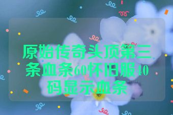 原始传奇头顶第三条血条60怀旧服40码显示血条