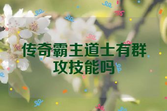 传奇霸主道士有群攻技能吗