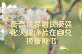 传奇世界时长版强化火球碎片在哪兑换技能书