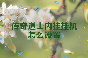传奇道士内挂挂机怎么设置