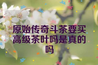 原始传奇斗茶要买高级茶叶吗是真的吗