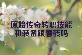 原始传奇转职技能和装备跟着转吗