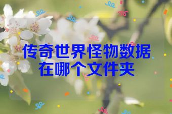 传奇世界怪物数据在哪个文件夹